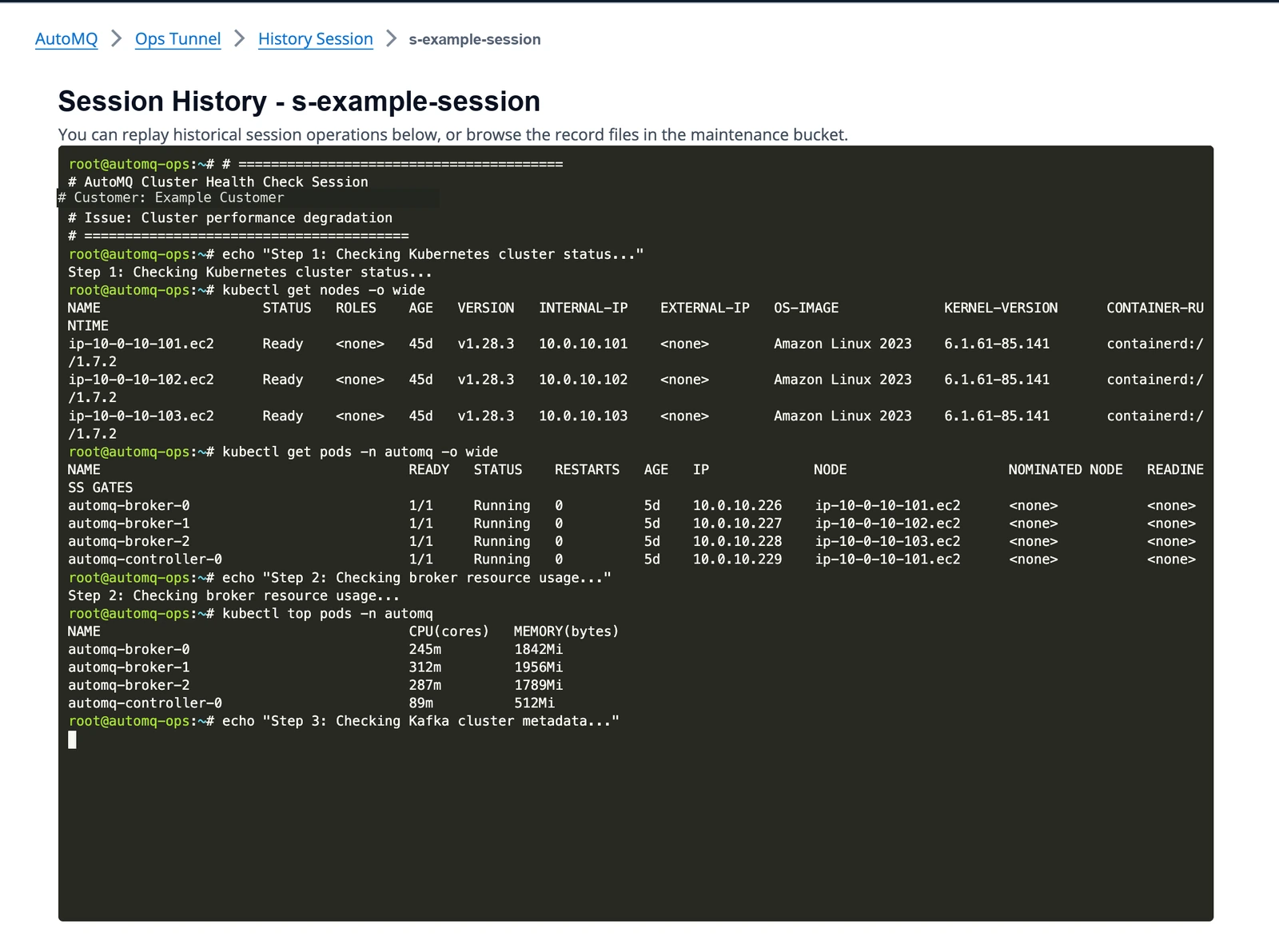 Ops Tunnel session replay view with sanitized example data